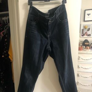 Lane Bryant Dark Wash Skinny Jeans